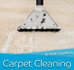 Carpet Cleaning - Brooklyn