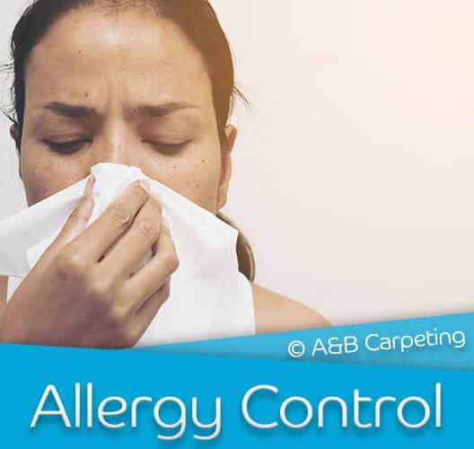 Allergy Control - Brooklyn